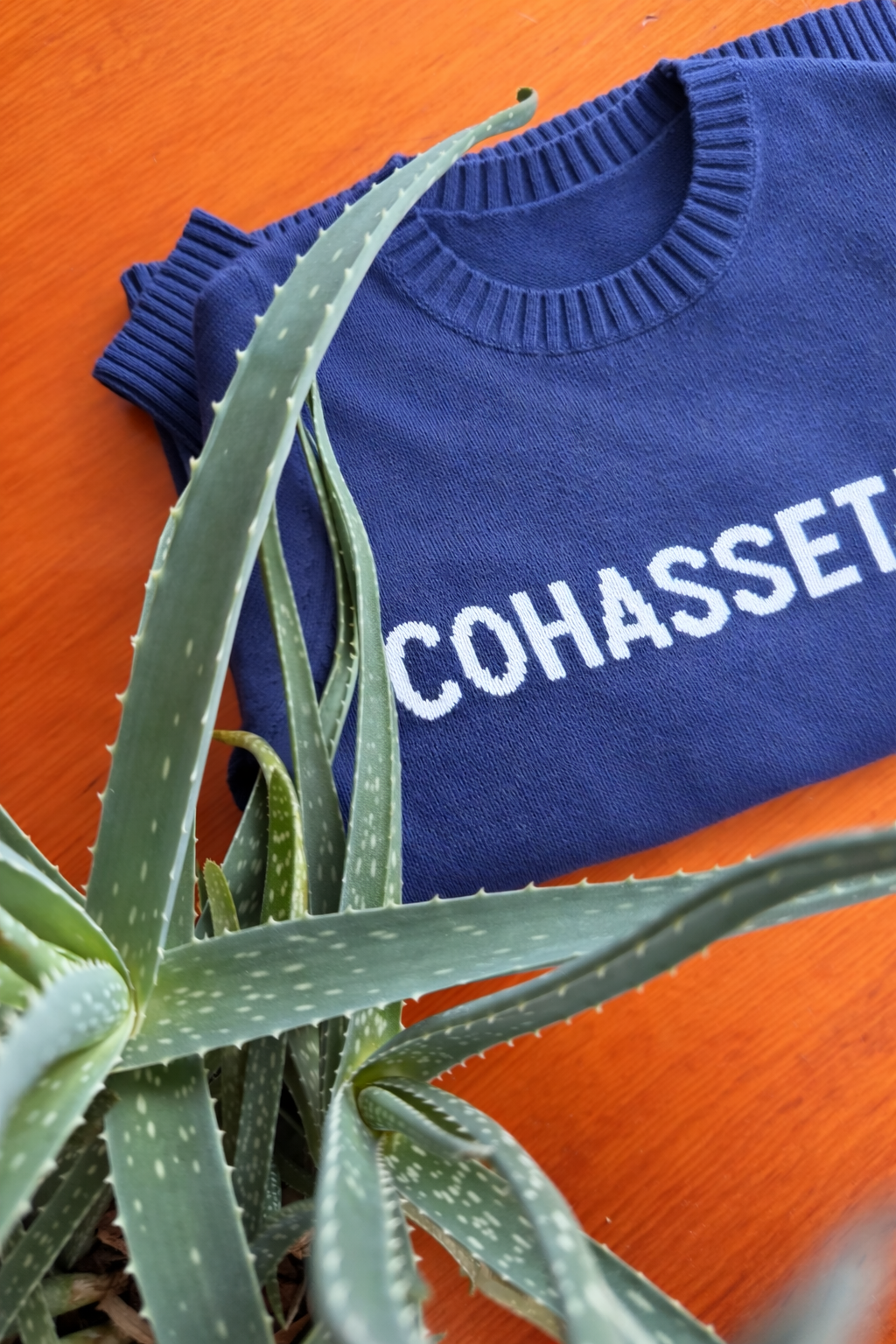 Cohasset Classic Crewneck Sweater (Navy)